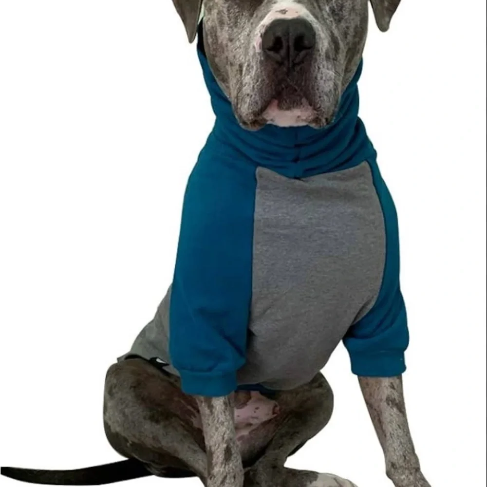 Blue and Gray Dog Hoodie